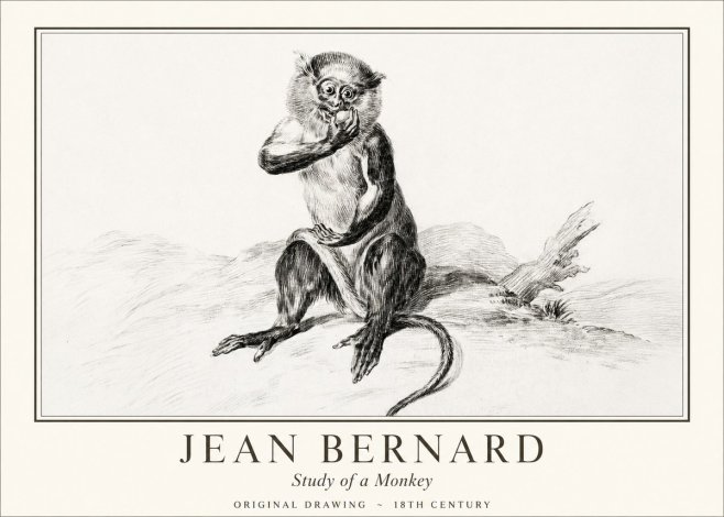 Jean Bernard Study of a Monkey No1 - Póster