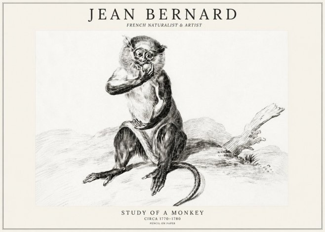 Jean Bernard Study of a Monkey No3 - Póster