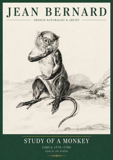 Jean Bernard Study of a Monkey No5 - Póster