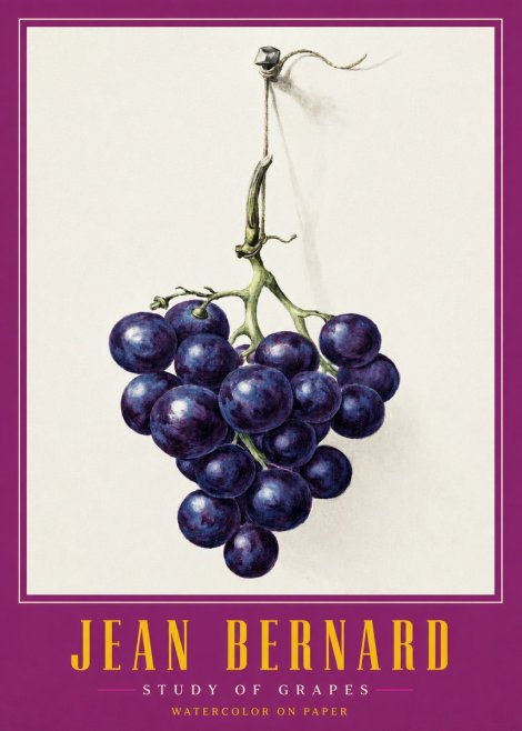 Jean Bernard Grapes No3 - Póster