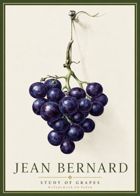 Jean Bernard Grapes No5 - Póster