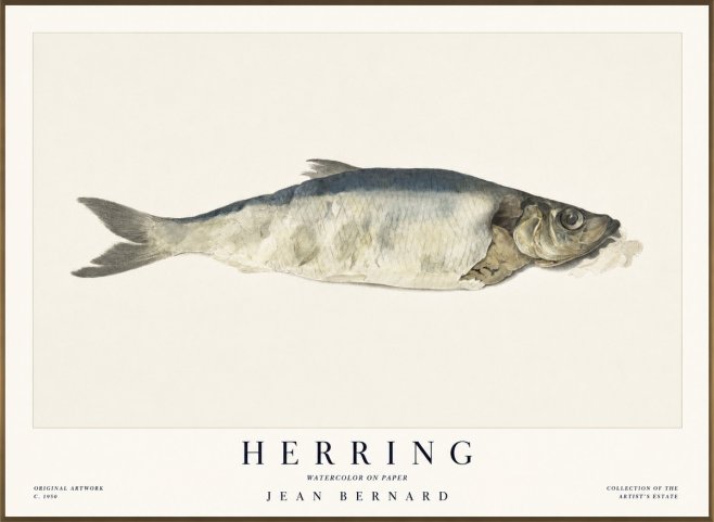 Jean Bernard Herring No1 - Póster