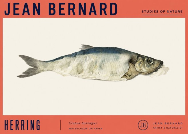 Jean Bernard Herring No4 - Póster