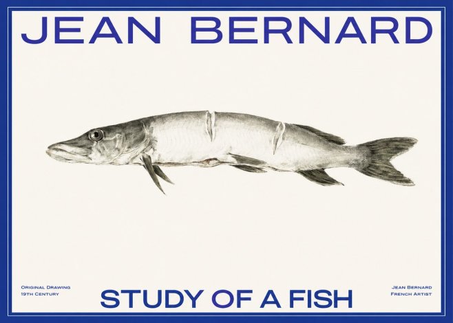 Jean Bernard Study of a Fish II No2 - Póster