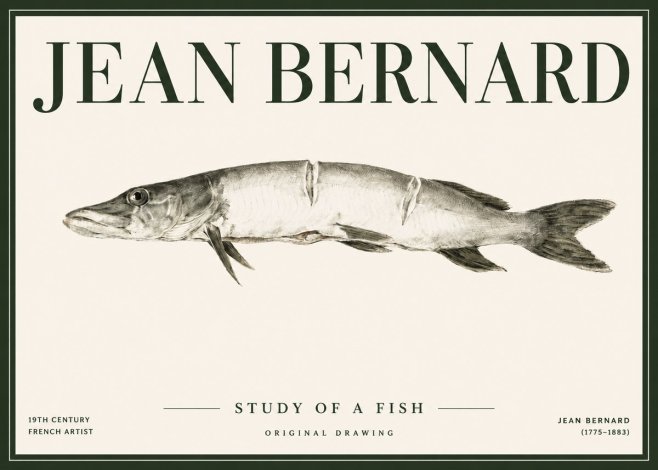Jean Bernard Study of a Fish II No4 - Póster