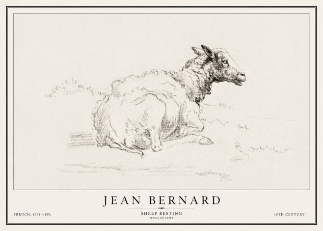 Jean Bernard Sheep Resting No1 - Póster