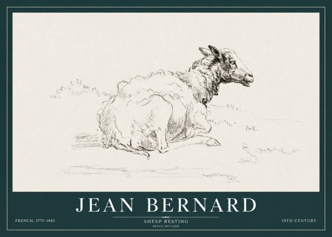 Jean Bernard Sheep Resting No3 - Póster