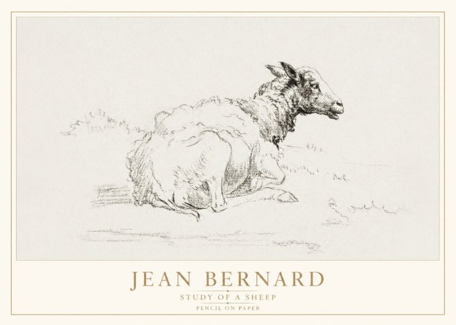 Jean Bernard Sheep Resting No4 - Póster