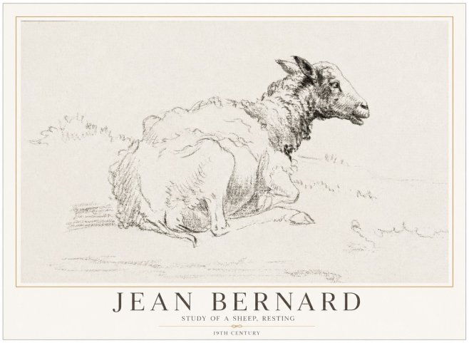 Jean Bernard Sheep Resting No5 - Póster