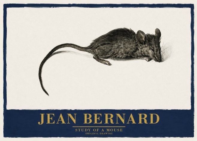 Jean Bernard Study of a Mouse I No2 - Póster