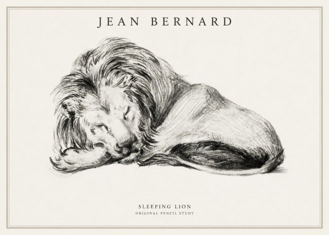 Jean Bernard Sleeping Lion No1 - Póster