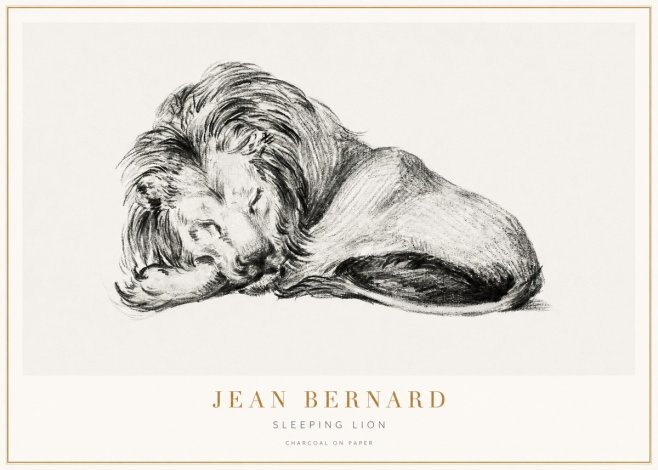 Jean Bernard Sleeping Lion No3 - Póster
