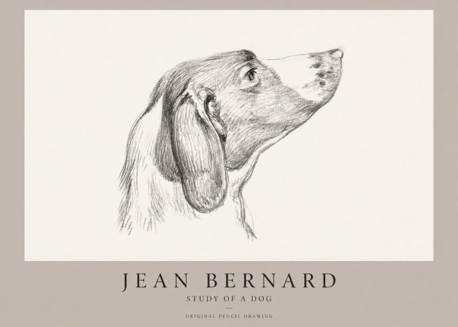 Jean Bernard Study of a Dog I No1 - Póster