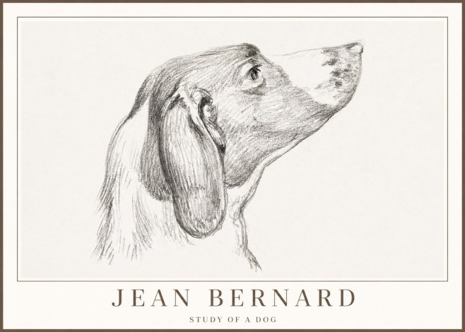 Jean Bernard Study of a Dog I No2 - Póster
