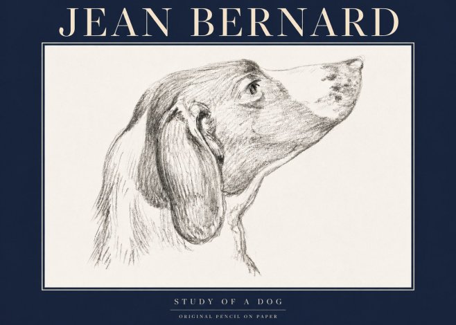 Jean Bernard Study of a Dog I No4 - Póster