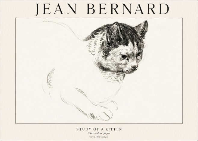 Jean Bernard Study of a Kitten I No1 - Póster