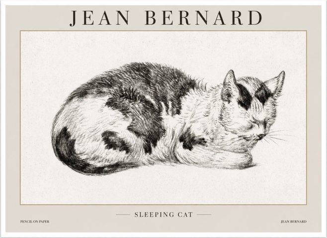 Jean Bernard Sleeping Cat I No1 - Póster