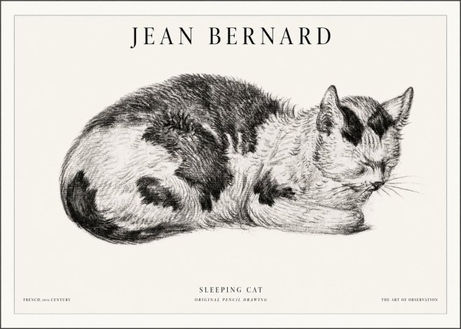 Jean Bernard Sleeping Cat I No5 - Póster
