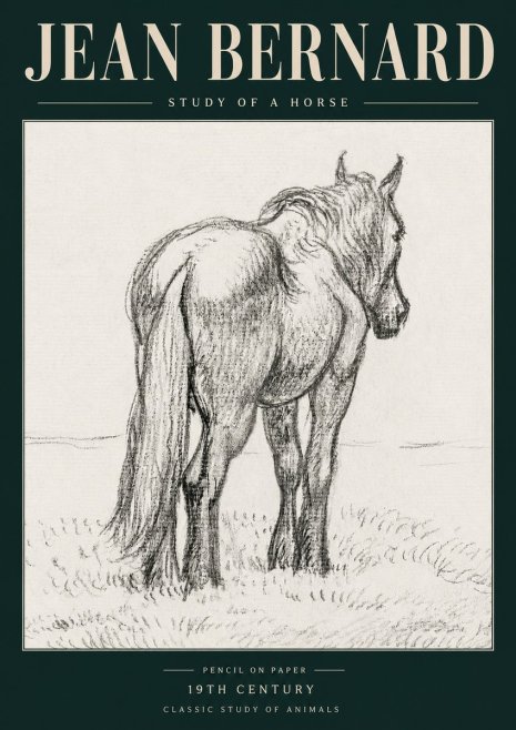 Jean Bernard Study of a Horse II No5 - Póster