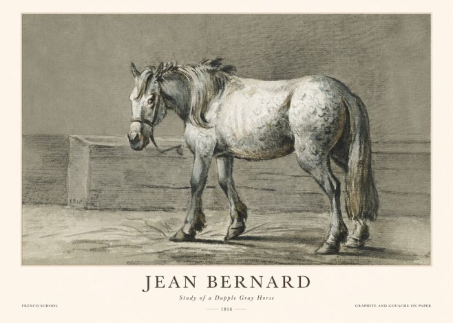 Jean Bernard Study of a Dapple Gray Horse No1 - Póster
