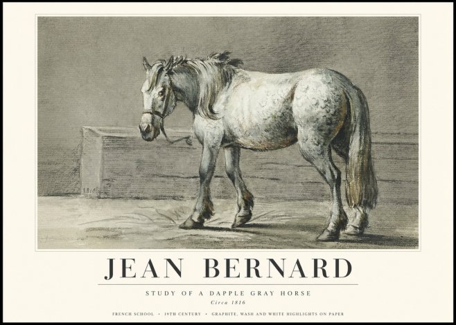 Jean Bernard Study of a Dapple Gray Horse No3 - Póster