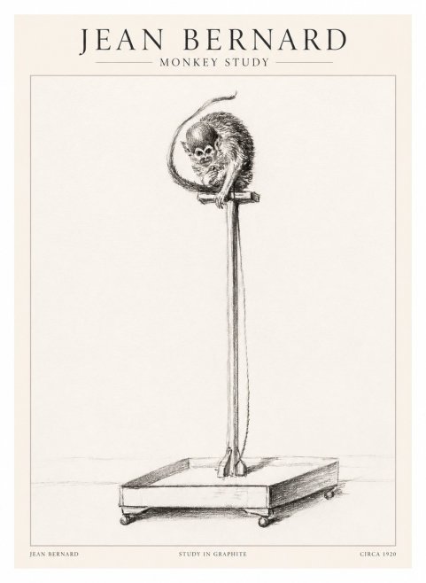 Jean Bernard Monkey Study No1 - Póster