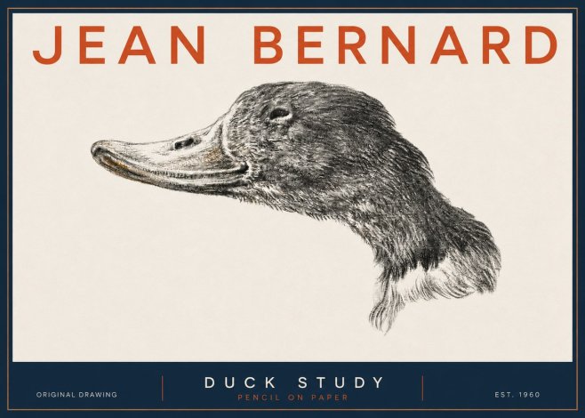 Jean Bernard Study of a Duck No5 - Póster