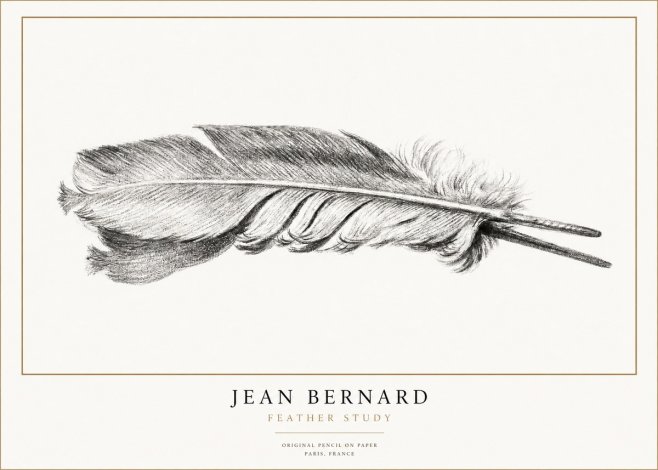 Jean Bernard Feather No3 - Póster