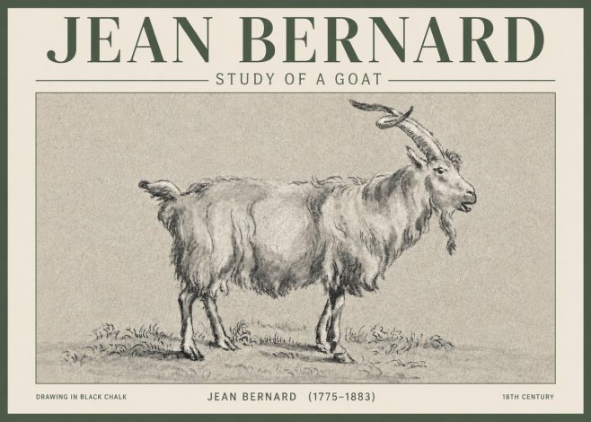 Jean Bernard Study of a Goat II No3 - Póster