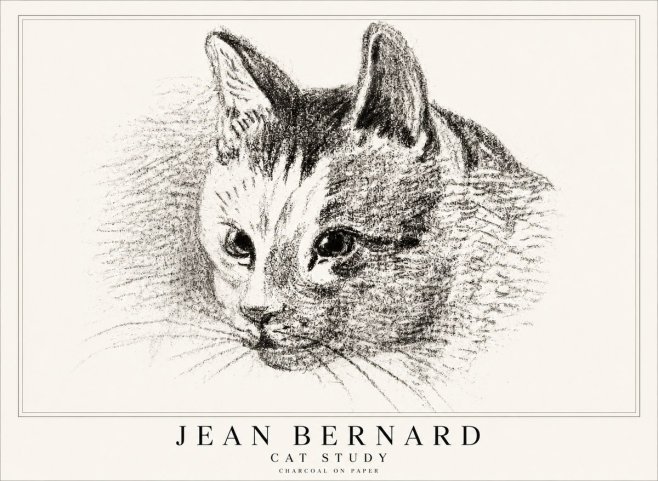 Jean Bernard Cat Study III No1 - Póster