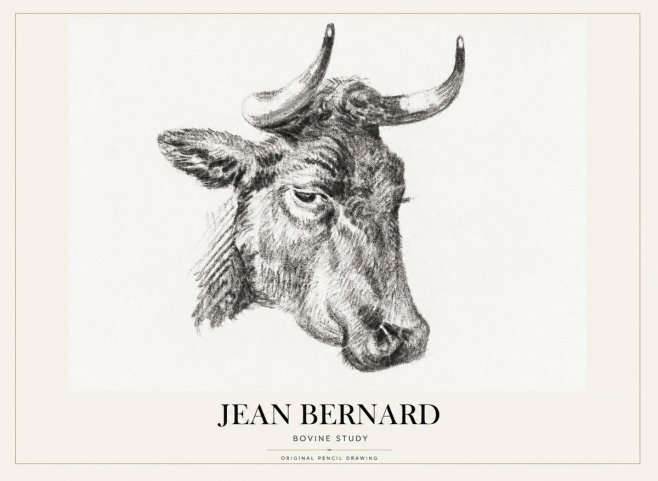 Jean Bernard Bovine Study I No1 - Póster