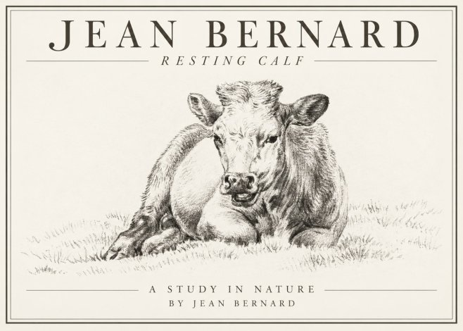 Jean Bernard Resting Calf I No1 - Póster