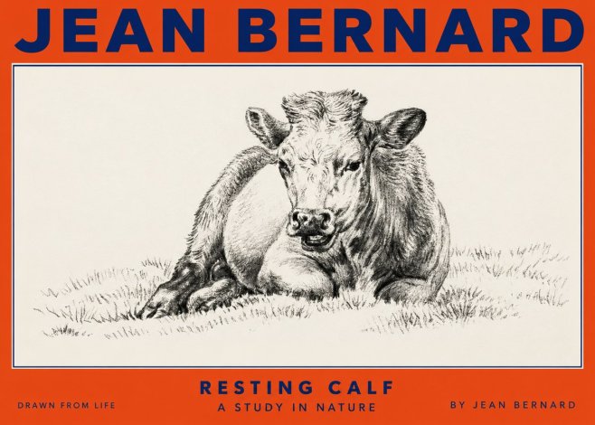 Jean Bernard Resting Calf I No2 - Póster