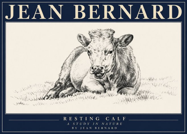 Jean Bernard Resting Calf I No4 - Póster