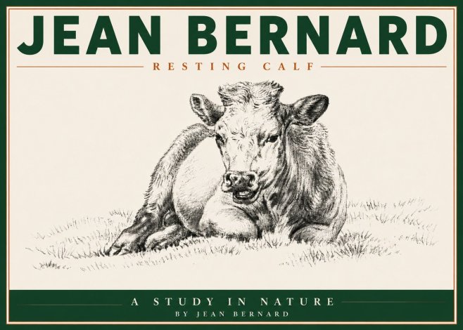Jean Bernard Resting Calf I No5 - Póster