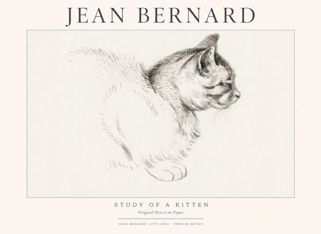 Jean Bernard Study of a Kitten II No1 - Póster