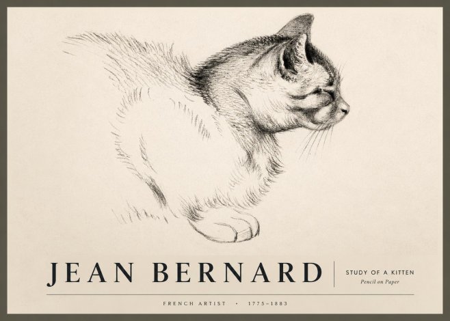 Jean Bernard Study of a Kitten II No2 - Póster