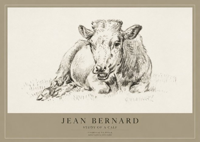 Jean Bernard Resting Calf II No4 - Póster