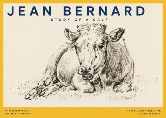 Jean Bernard Resting Calf II No5 - Póster