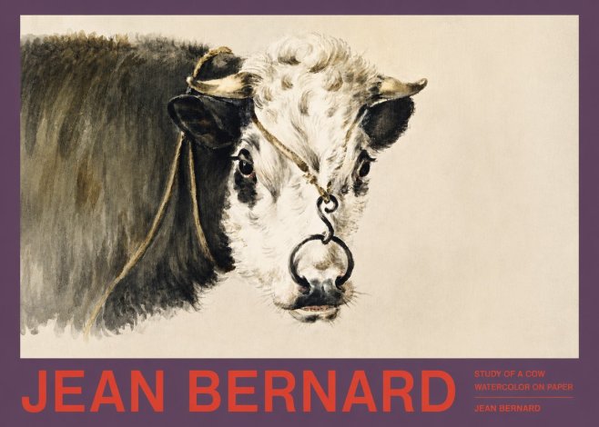 Jean Bernard Study of a Cow I No2 - Póster