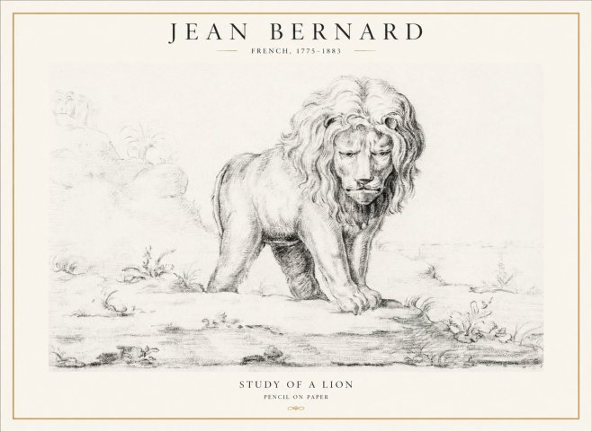 Jean Bernard Study of a Lion I No4 - Póster