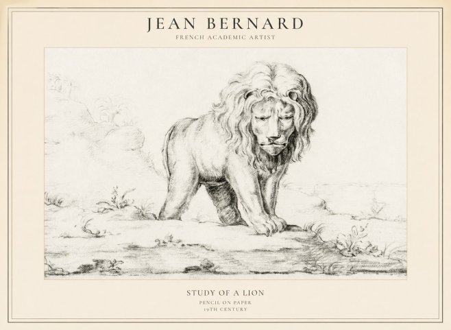 Jean Bernard Study of a Lion I No5 - Póster