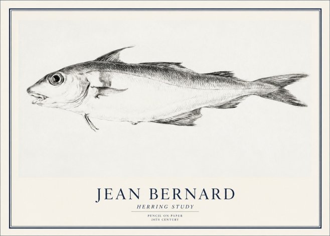Jean Bernard Herring Study No1 - Póster