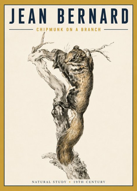 Jean Bernard Study of a Squirrel Climbing a Branch No5 - Póster