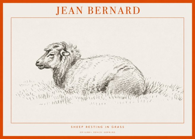 Jean Bernard Sheep Resting in Grass No1 - Póster