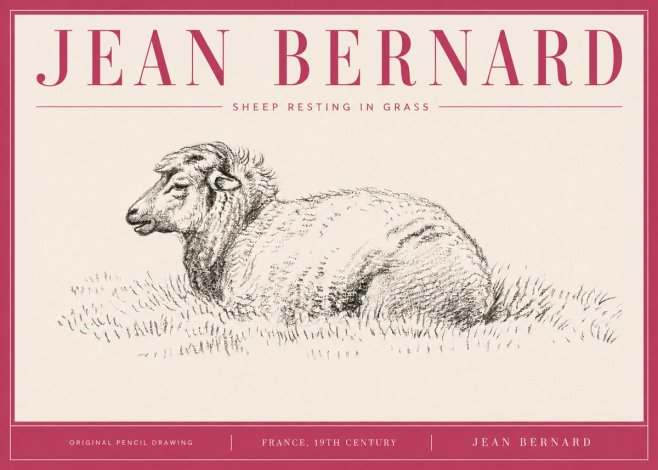 Jean Bernard Sheep Resting in Grass No4 - Póster