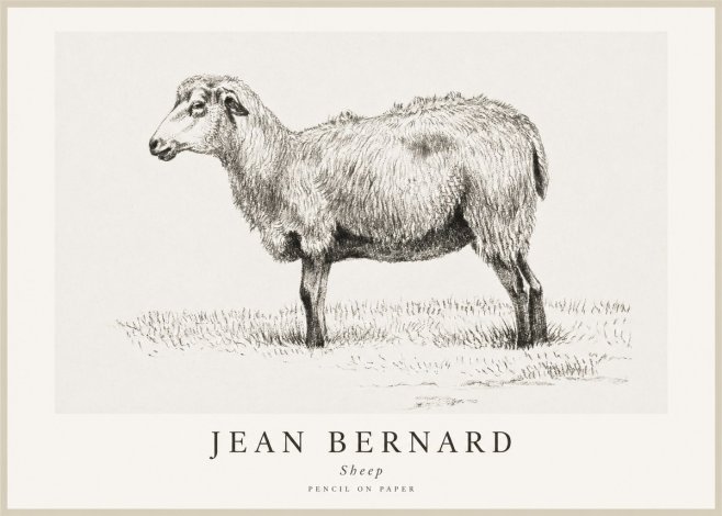 Jean Bernard Sheep No1 - Póster