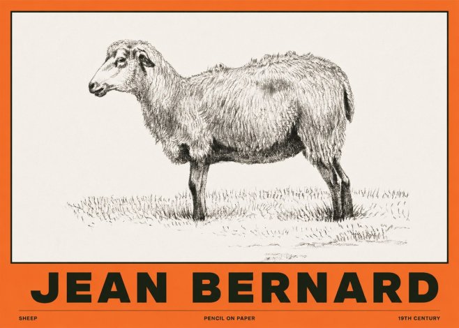 Jean Bernard Sheep No2 - Póster