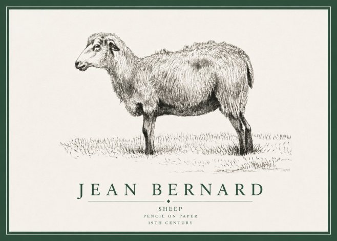 Jean Bernard Sheep No3 - Póster