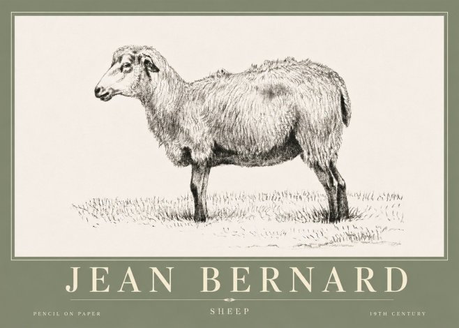 Jean Bernard Sheep No6 - Póster